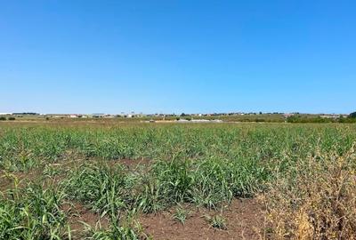 Teren agricol intravilan de 24000 mp, în Central - 3
