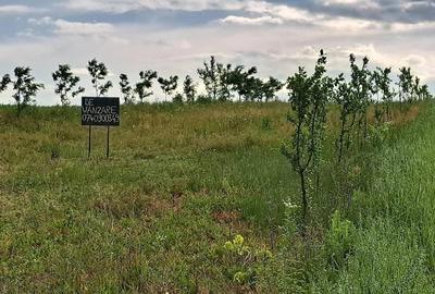 Teren de 2900 mp, în Ion Creangă - 5