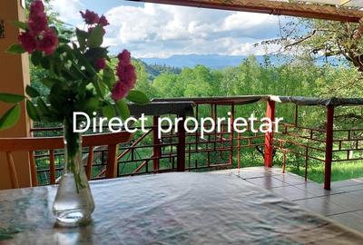 Casă cu 4 camere cu Teren 3300 Mp în Central