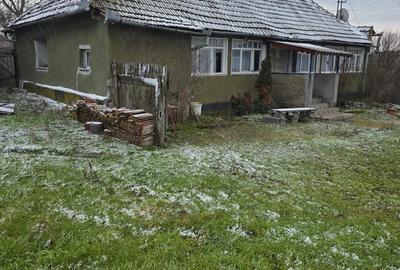 Casă cu 2 camere cu Teren 110 Mp în Pachia - 3