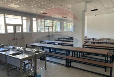 Casă individuală cu 25 camere cu Teren 2600 Mp în Berceni - 2