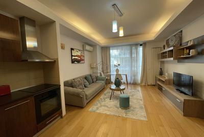 Apartament cu 2 camere semidecomandat, mobilat în Herăstrău - 1