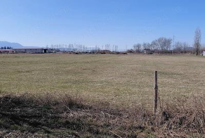 Teren de 11000 mp, în Prejmer - 2