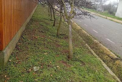 Casă cu 3 camere cu Teren 3200 Mp în Ceamurlia de Jos - 3