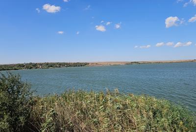Teren agricol extravilan de 10000 mp, în Sibioara - 18