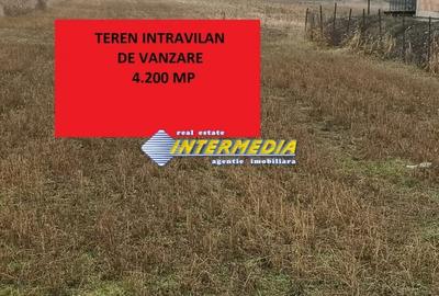 Teren Construcții intravilan de 4200 mp, în Cetate - 1