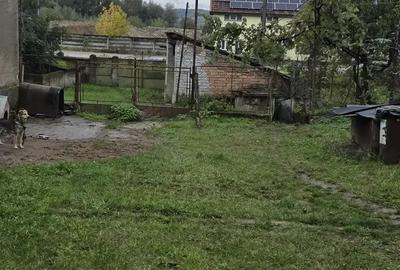 Casă cu 2 camere în Strei - 3