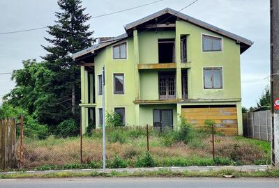 Casă individuală cu 9 camere cu Garaj în Peciu Nou - 1