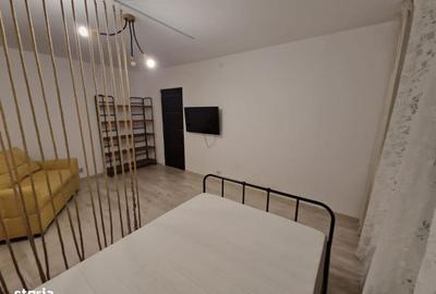 Garsonieră decomandată în Valea Ialomiței - 9
