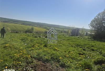 Teren de 1950 mp, în Moara - 3