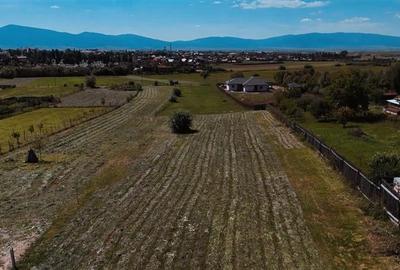 Teren Construcții intravilan de 2781 mp, în Nord - 5