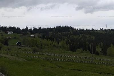 Teren extravilan de 14485 mp, în Iacobeni