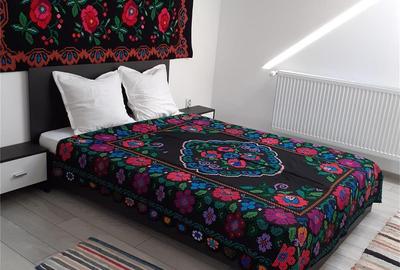 Casă cu 2 camere în Cârțișoara - 4