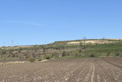 Teren de 7500 mp, în Ipotești - 4