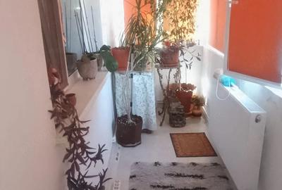 Apartament cu 4 camere decomandat în Exterior Vest