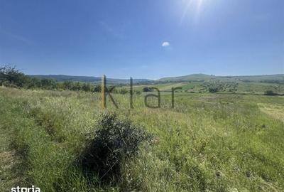 Teren de 6148 mp, în Sopor