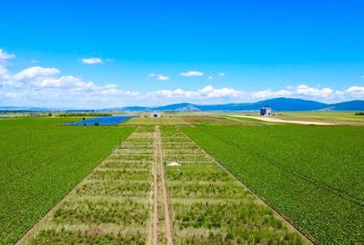 Teren agricol extravilan de 225 mp, în Hărman - 4