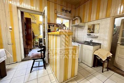 Casă cu 5 camere cu Piscina în Elisabetin - 7