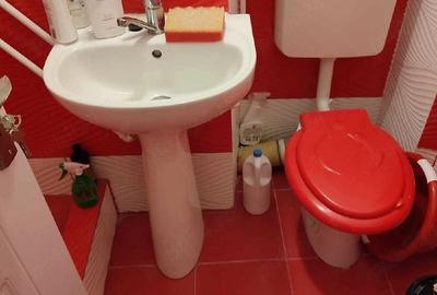 Garsonieră decomandată în Craiovița Nouă - 2