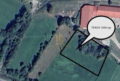 Teren de 13400 mp, în Central