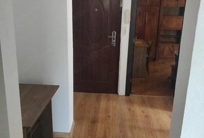 Apartament cu 2 camere decomandat în Nufărul