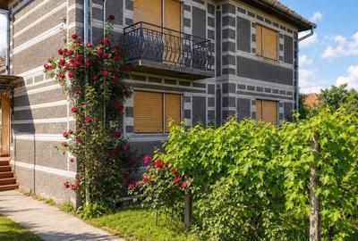 Casă cu 5 camere cu Teren 4605 Mp în Lugașu de Jos - 1