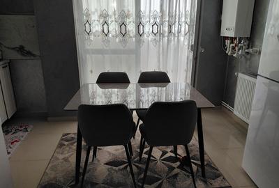 Apartament cu 2 camere semidecomandat în Valea Lupului - 4