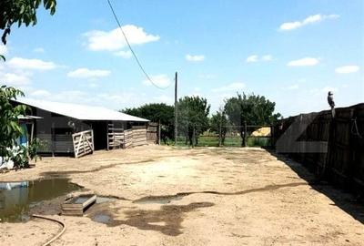 Casă cu 2 camere cu Teren 4700 Mp în Central - 5