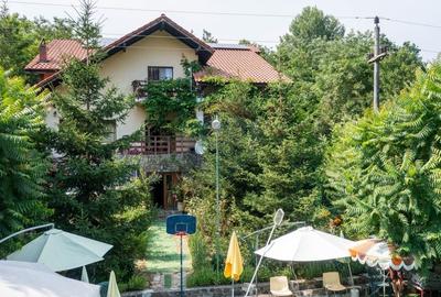 Casă individuală cu 10 camere cu Teren 1348 Mp în Sânbotin - 43