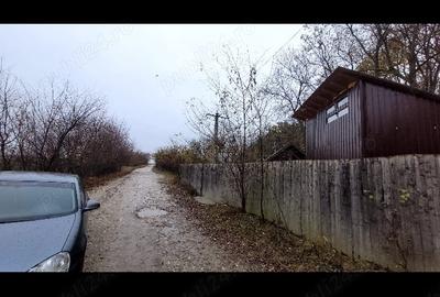 Teren în Dârvari - 3