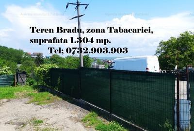 Teren Construcții intravilan de 500 mp, în Bradu - 6