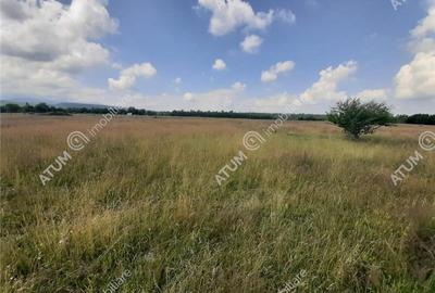 Teren Construcții intravilan de 8900 mp, în Central - 1