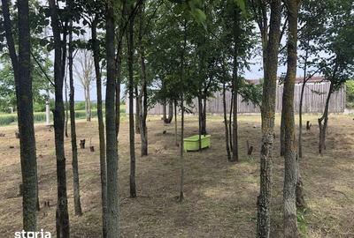 Teren de 420 mp, în Găneasa - 7