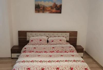 Apartament cu 2 camere decomandat în Buziașului