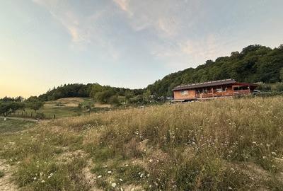 Teren de 1000 mp, în Central - 1