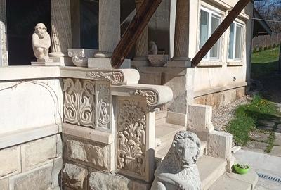 Casă cu Teren 3103 Mp în Central - 6