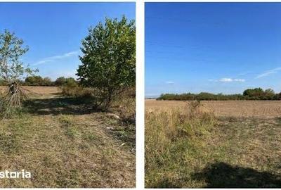 Teren de 5000 mp, în Halmeu