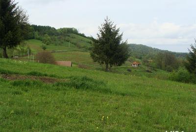 Teren de 11600 mp, în Poiana Mărului - 8