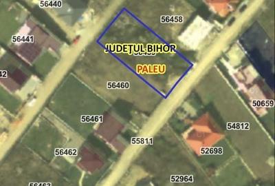 Spațiu comercial, în Săldăbagiu de Munte - 4