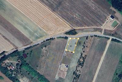 Teren Construcții intravilan de 1000 mp, în Ardud-Vii - 6
