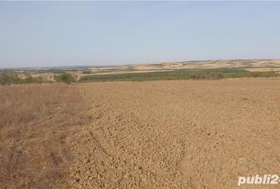 Teren de 10900 mp, în Oncea - 7