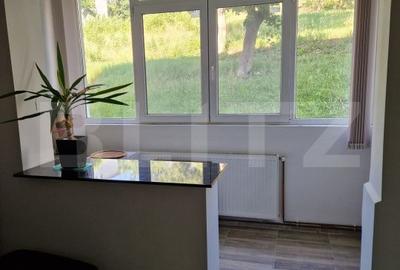 Apartament cu 2 camere decomandat, mobilat în Central