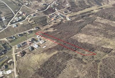Teren de 7900 mp, în Iorga - 3
