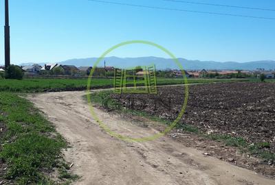 Teren agricol extravilan de 23300 mp, în Gușterița - 3