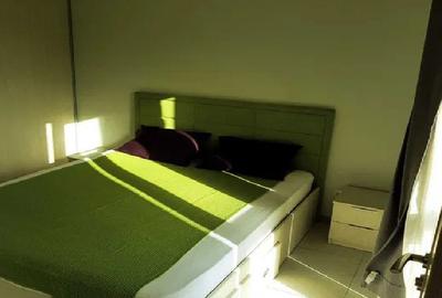 Apartament cu 2 camere în Plopilor - 3