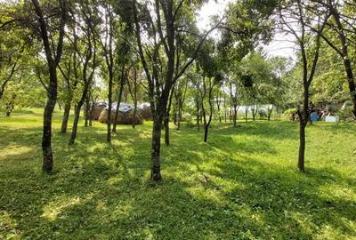 Teren Construcții intravilan de 6000 mp, în Breaza - 4