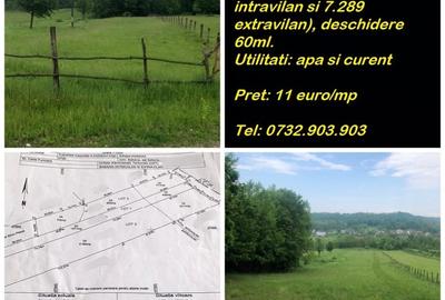 Teren Construcții intravilan de 1350 mp, în Băbana - 3