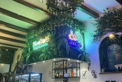 Spațiu comercial, de 250 mp, în Centrul Istoric - 3