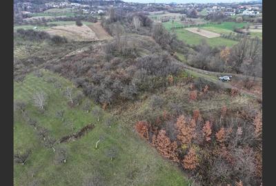 Teren Construcții intravilan de 5578 mp, în Groși - 4