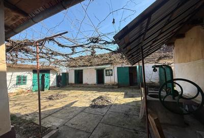 Casă cu 4 camere în Bârsa - 5